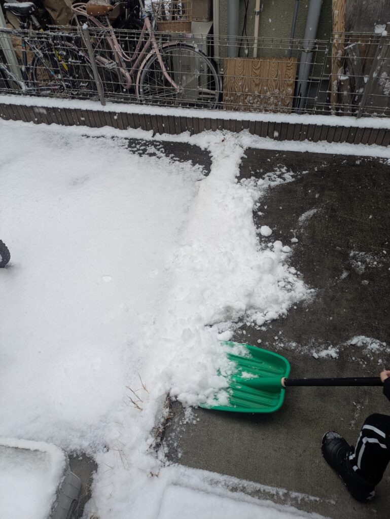 庭の雪かき☃